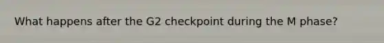 What happens after the G2 checkpoint during the M phase?