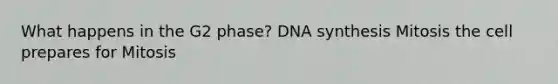 What happens in the G2 phase? DNA synthesis Mitosis the cell prepares for Mitosis