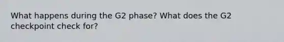 What happens during the G2 phase? What does the G2 checkpoint check for?