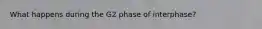 What happens during the G2 phase of interphase?