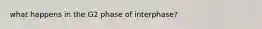 what happens in the G2 phase of interphase?