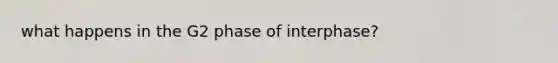 what happens in the G2 phase of interphase?