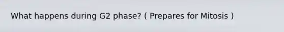 What happens during G2 phase? ( Prepares for Mitosis )