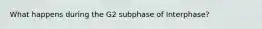 What happens during the G2 subphase of Interphase?