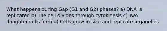 What happens during Gap (G1 and G2) phases? a) DNA is replicated b) The cell divides through cytokinesis c) Two daughter cells form d) Cells grow in size and replicate organelles