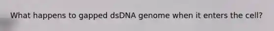 What happens to gapped dsDNA genome when it enters the cell?