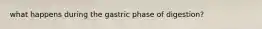 what happens during the gastric phase of digestion?