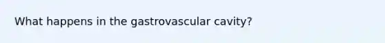 What happens in the gastrovascular cavity?