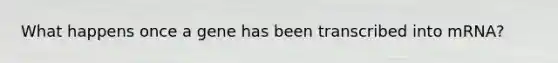 What happens once a gene has been transcribed into mRNA?
