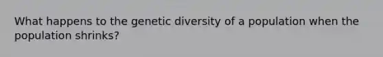 What happens to the genetic diversity of a population when the population shrinks?