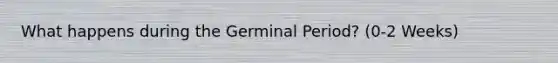 What happens during the Germinal Period? (0-2 Weeks)