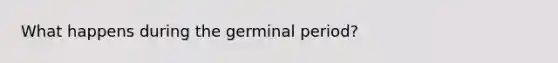 What happens during the germinal period?