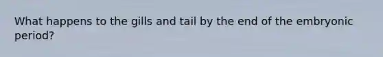 What happens to the gills and tail by the end of the embryonic period?