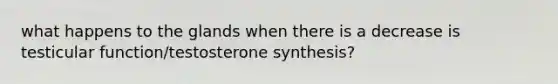 what happens to the glands when there is a decrease is testicular function/testosterone synthesis?