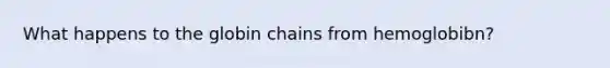 What happens to the globin chains from hemoglobibn?