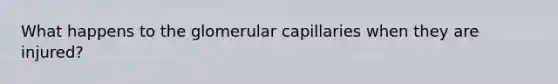 What happens to the glomerular capillaries when they are injured?