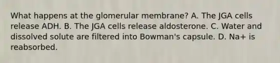 What happens at the glomerular membrane? A. The JGA cells release ADH. B. The JGA cells release aldosterone. C. Water and dissolved solute are filtered into Bowman's capsule. D. Na+ is reabsorbed.