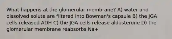 What happens at the glomerular membrane? A) water and dissolved solute are filtered into Bowman's capsule B) the JGA cells released ADH C) the JGA cells release aldosterone D) the glomerular membrane reabsorbs Na+