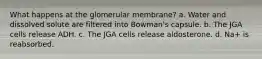 What happens at the glomerular membrane? a. Water and dissolved solute are filtered into Bowman's capsule. b. The JGA cells release ADH. c. The JGA cells release aldosterone. d. Na+ is reabsorbed.