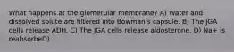 What happens at the glomerular membrane? A) Water and dissolved solute are filtered into Bowman's capsule. B) The JGA cells release ADH. C) The JGA cells release aldosterone. D) Na+ is reabsorbeD)