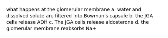 what happens at the glomerular membrane a. water and dissolved solute are filtered into Bowman's capsule b. the JGA cells release ADH c. The JGA cells release aldosterone d. the glomerular membrane reabsorbs Na+