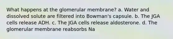 What happens at the glomerular membrane? a. Water and dissolved solute are filtered into Bowman's capsule. b. The JGA cells release ADH. c. The JGA cells release aldosterone. d. The glomerular membrane reabsorbs Na