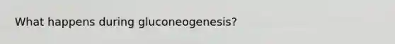 What happens during gluconeogenesis?