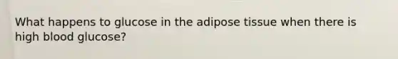 What happens to glucose in the adipose tissue when there is high blood glucose?