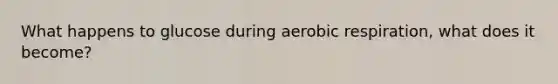 What happens to glucose during aerobic respiration, what does it become?