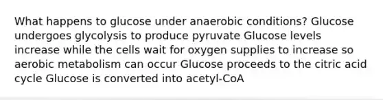 What happens to glucose under anaerobic conditions? Glucose undergoes glycolysis to produce pyruvate Glucose levels increase while the cells wait for oxygen supplies to increase so aerobic metabolism can occur Glucose proceeds to the citric acid cycle Glucose is converted into acetyl-CoA