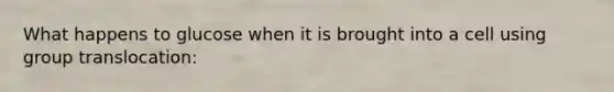 What happens to glucose when it is brought into a cell using group translocation: