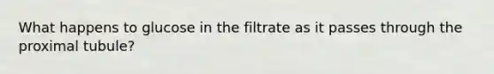 What happens to glucose in the filtrate as it passes through the proximal tubule?