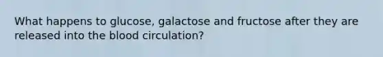 What happens to glucose, galactose and fructose after they are released into the blood circulation?