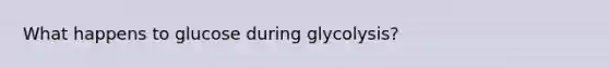 What happens to glucose during glycolysis?