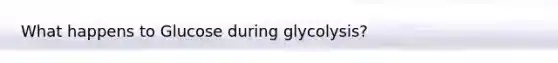 What happens to Glucose during glycolysis?