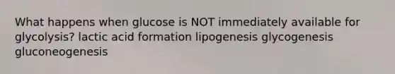 What happens when glucose is NOT immediately available for glycolysis? lactic acid formation lipogenesis glycogenesis gluconeogenesis