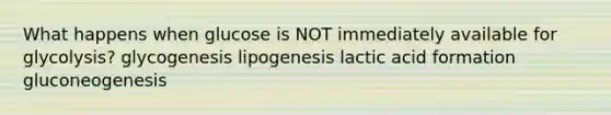 What happens when glucose is NOT immediately available for glycolysis? glycogenesis lipogenesis lactic acid formation gluconeogenesis