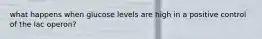 what happens when glucose levels are high in a positive control of the lac operon?