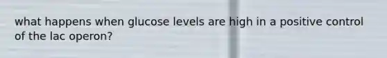 what happens when glucose levels are high in a positive control of the lac operon?