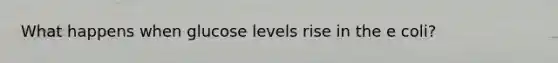 What happens when glucose levels rise in the e coli?
