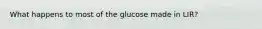 What happens to most of the glucose made in LIR?