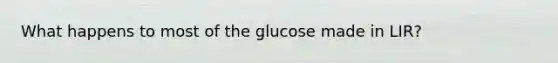 What happens to most of the glucose made in LIR?