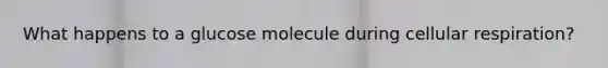 What happens to a glucose molecule during cellular respiration?