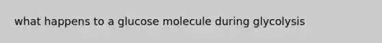 what happens to a glucose molecule during glycolysis