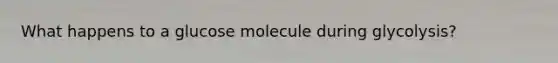 What happens to a glucose molecule during glycolysis?