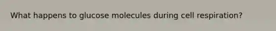 What happens to glucose molecules during cell respiration?