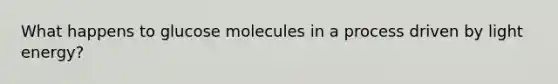 What happens to glucose molecules in a process driven by light energy?