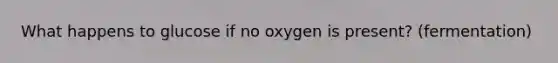 What happens to glucose if no oxygen is present? (fermentation)