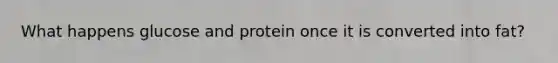 What happens glucose and protein once it is converted into fat?