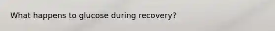 What happens to glucose during recovery?